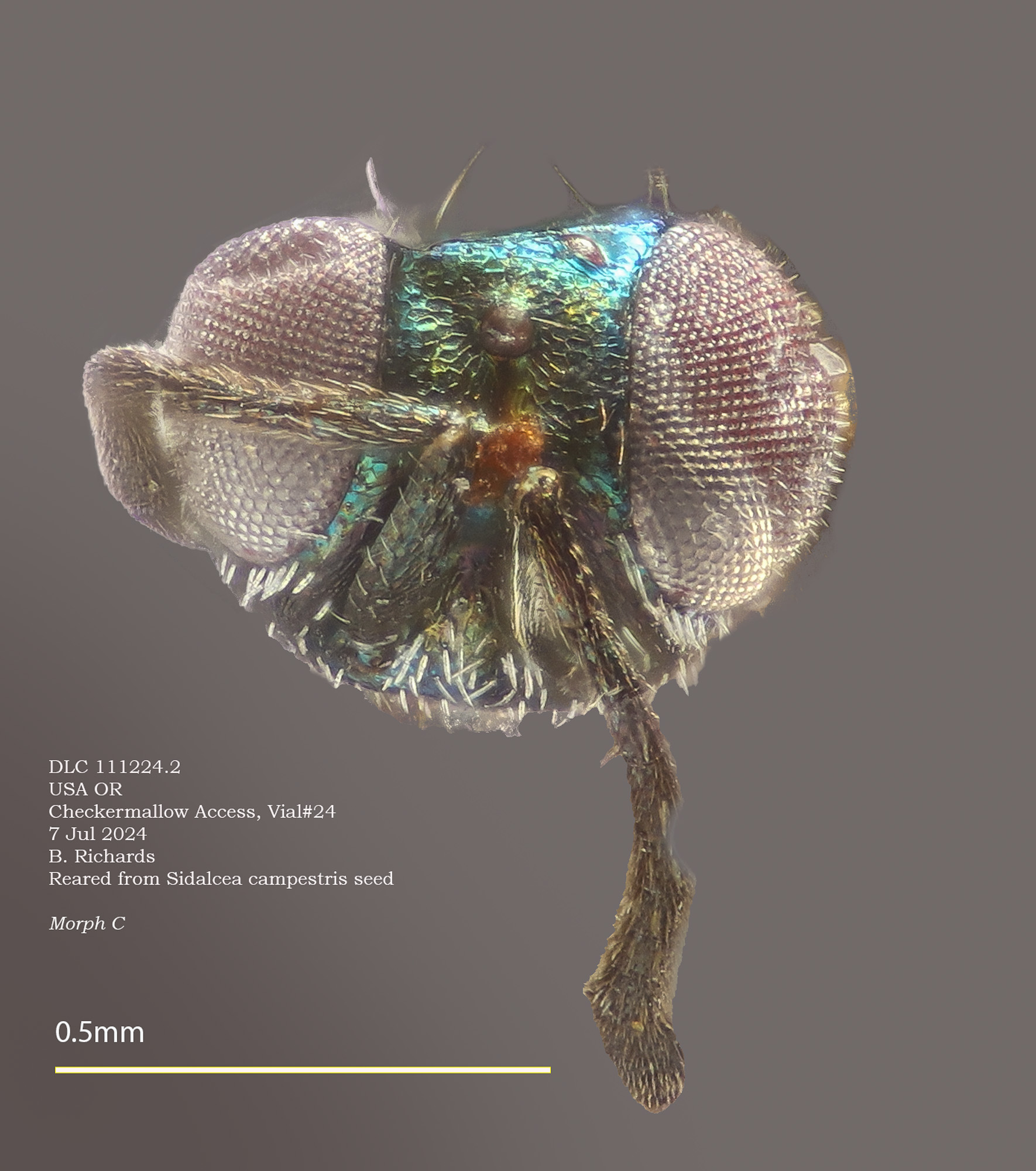 Repository of select images, 2024